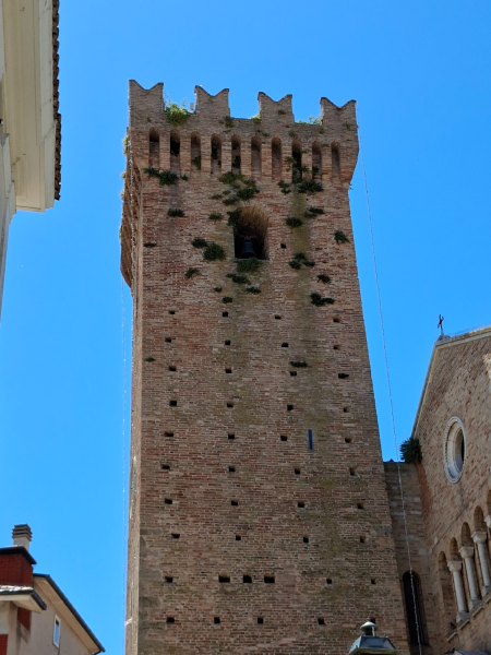 Torre Acquaviva, Lattanzi denuncia erba sulla facciata e scarsa manutenzione: “Il simbolo di Mosciano va tutelato” - Foto
