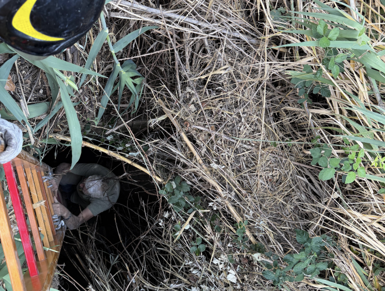 Torricella, cade in un pozzetto nascosto dalle piante: 71enne salvato dai vigili del fuoco - Foto