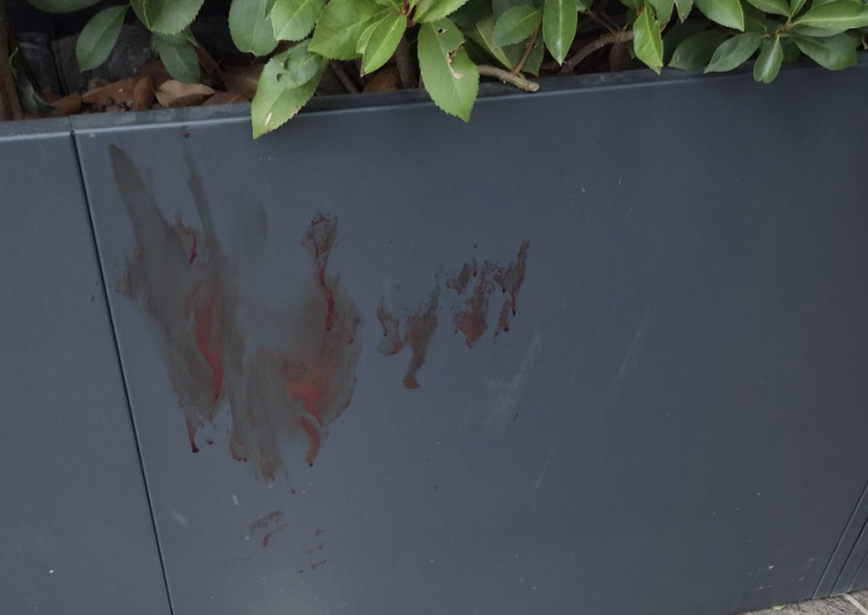 Rissa in centro e sangue sui gazebo, la Polizia locale collabora alle indagini sulla serata da far west teramano - Foto
