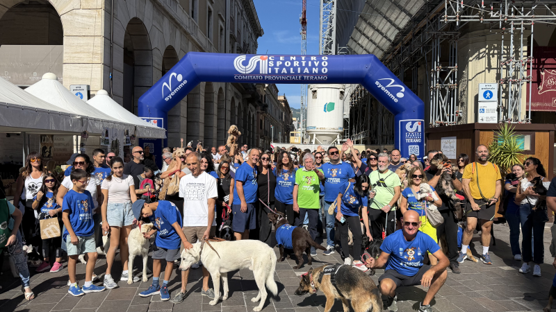 Teramo, una Maratona a Sei Zampe piena d'amore: la gattina Selvaggia trova casa, più di 100 i partecipanti - Foto