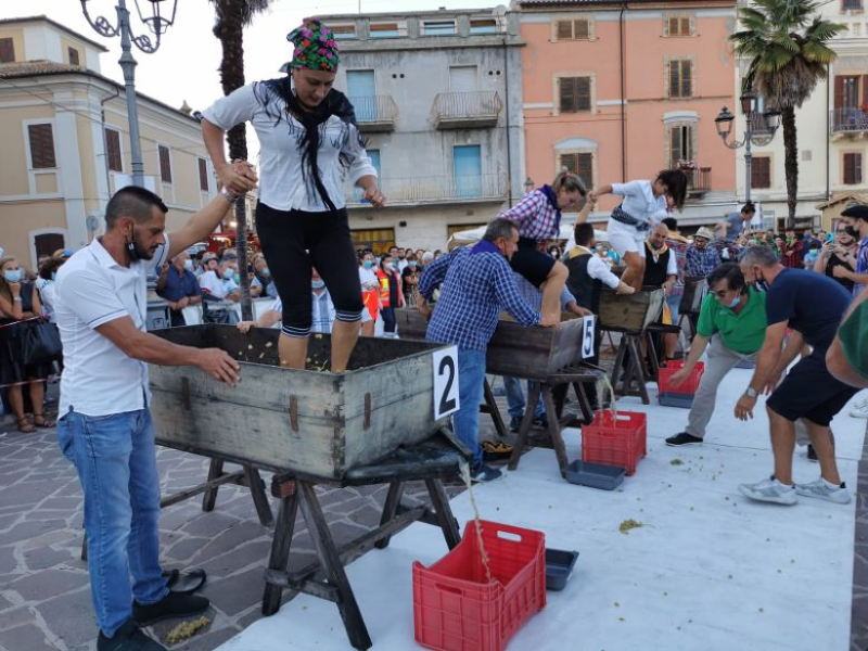 Festa dell’Uva di Mosciano, Consiglio regionale approva la legge per riconoscimento e valorizzazione - Foto
