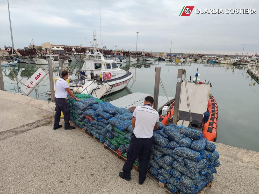 Martinsicuro, sequestrati oltre 2.600 chili di vongole senza tracciabilità: rigettate in mare - Foto
