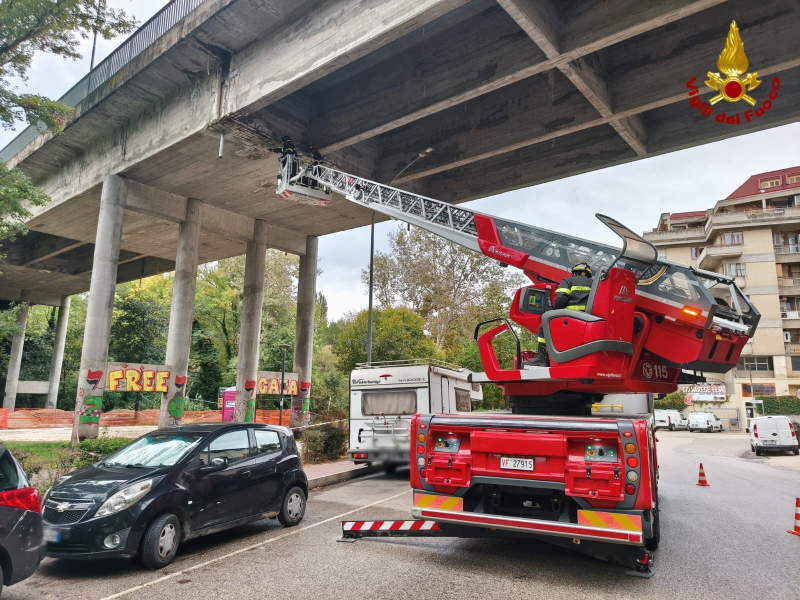 Calcinacci caduti da ponte San Francesco, Fracassa: “Tutto già previsto, Comune non fa niente - Foto