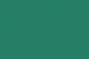 IMG_6841_300x200.gif